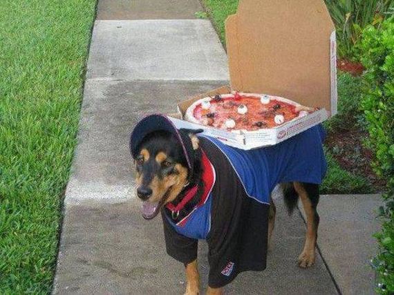 funny-pictures-1033