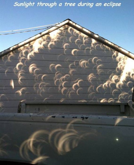 funny-pictures-1033