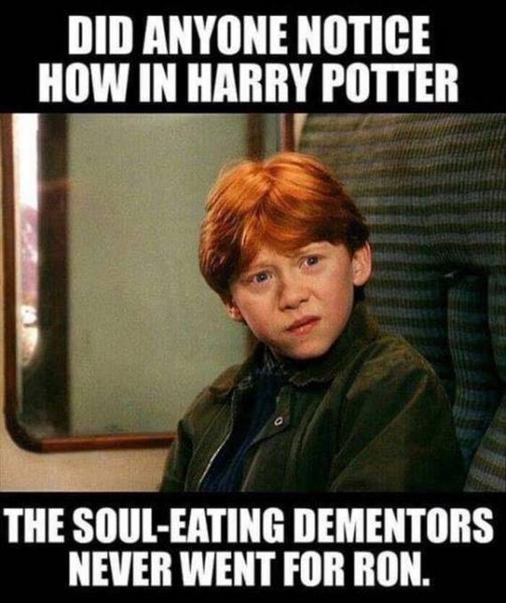 funny-pictures-1033