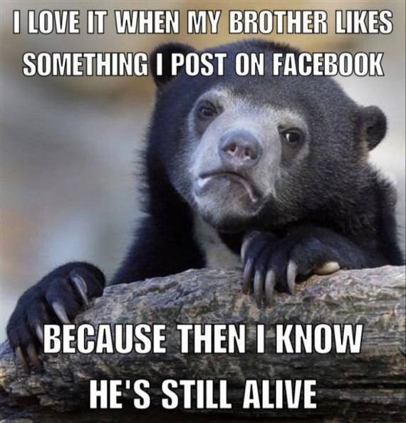 funny-pictures-1033
