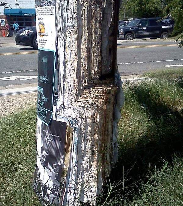 funny-pictures-1034