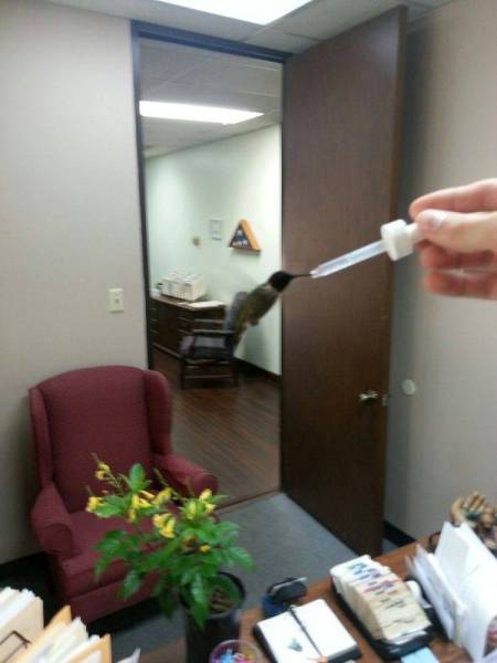 funny-pictures-1034