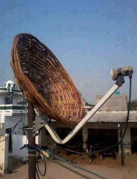 funny-pictures-1034