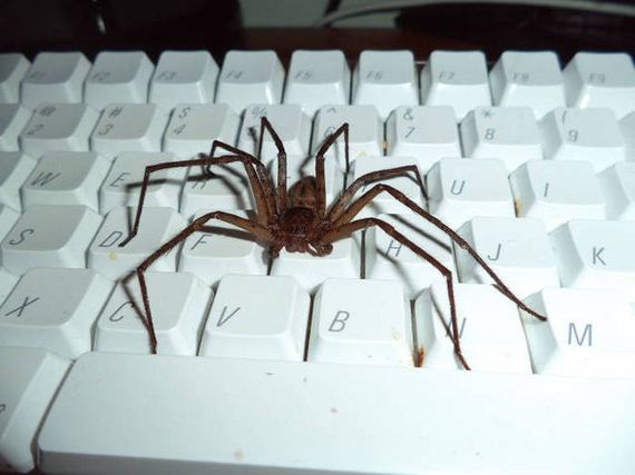 funny-pictures-1035