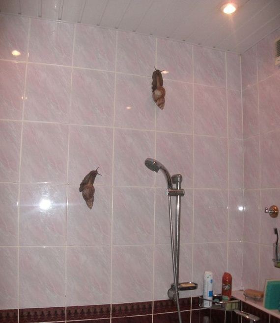 funny-pictures-1035