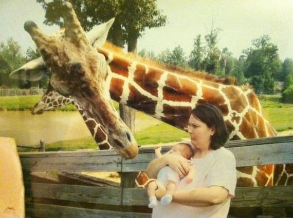 funny-pictures-1037