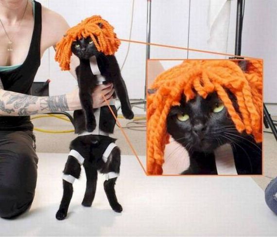 funny-pictures-1037