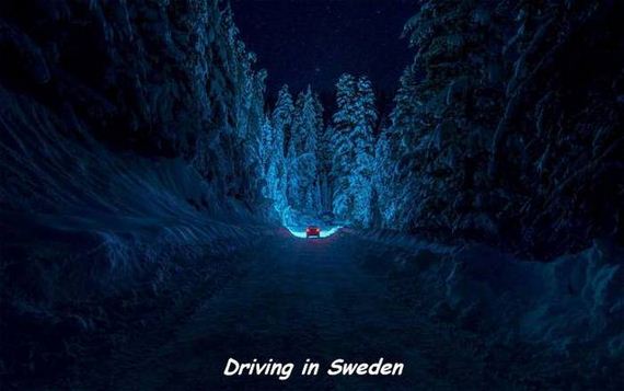 funny-pictures-1037