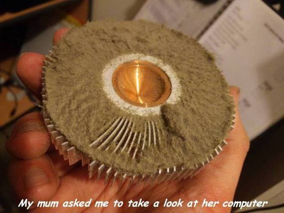 funny-pictures-1037