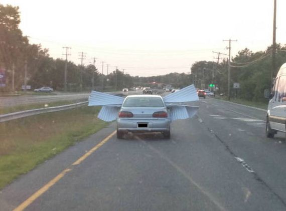 funny-pictures-1037
