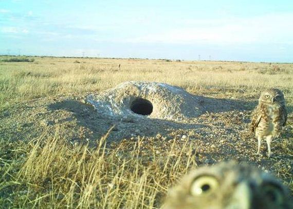 funny-pictures-1037