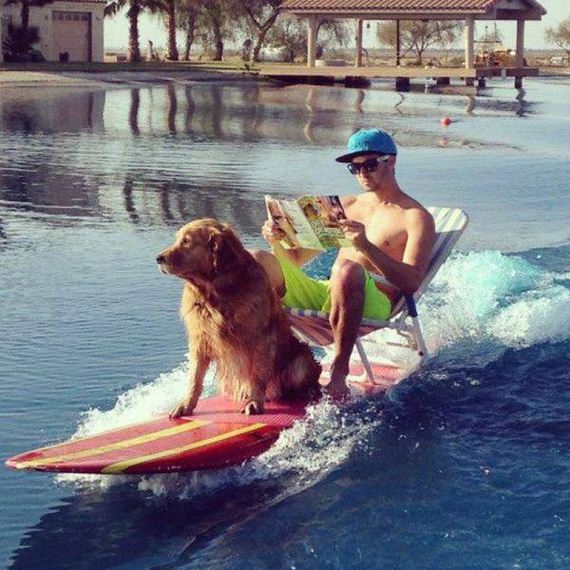funny-pictures-1037