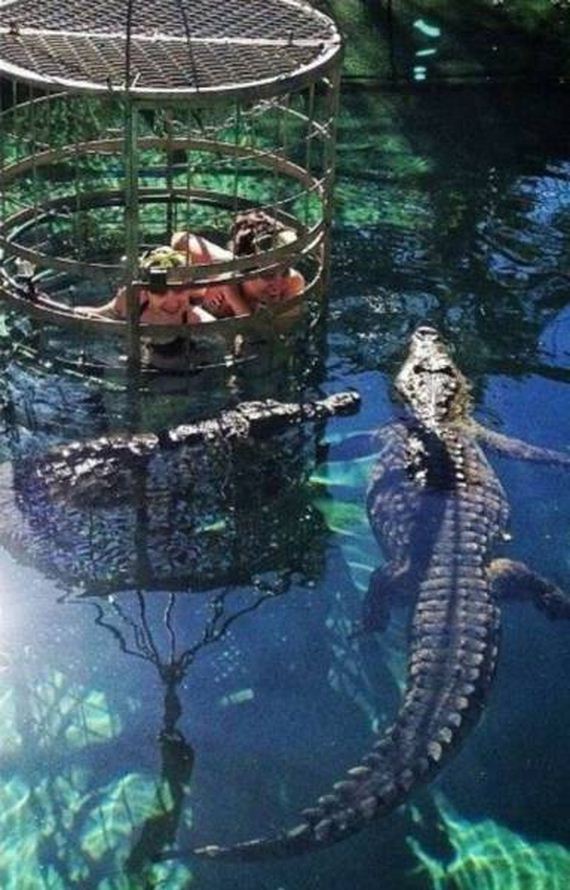 funny-pictures-1037