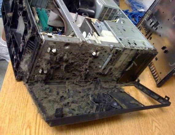 funny-pictures-1039