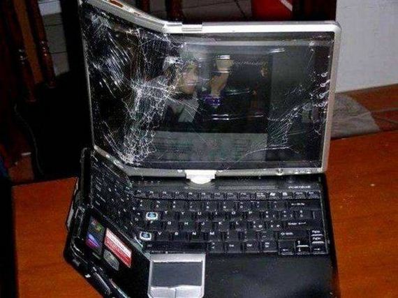 funny-pictures-1039