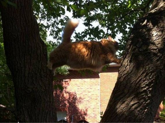 funny-pictures-1039