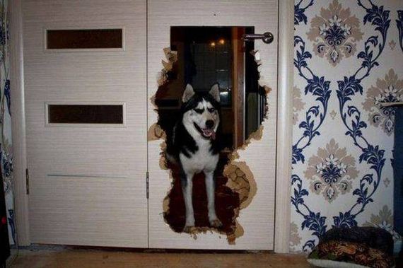 funny-pictures-1039