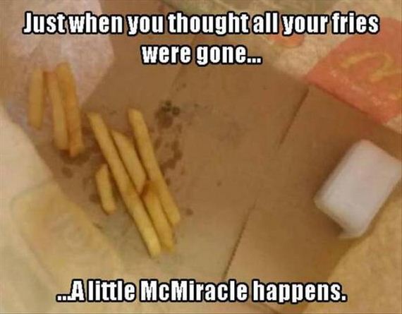 funny-pictures-1039