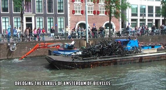 funny-pictures-1039