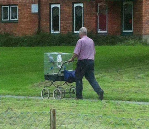 funny-pictures-1039