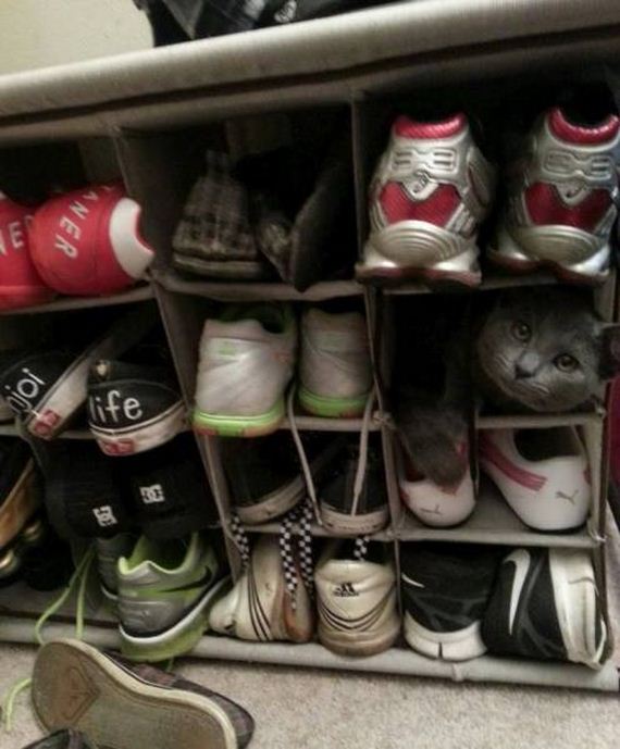 funny-pictures-1039