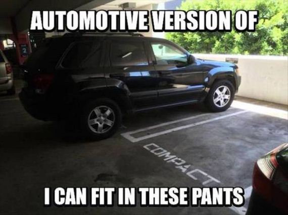 funny-pictures-1040