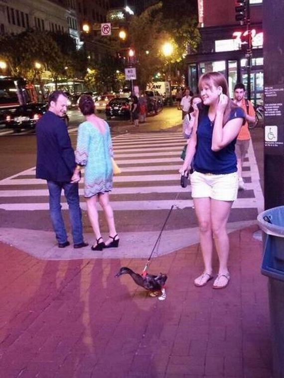 funny-pictures-1040