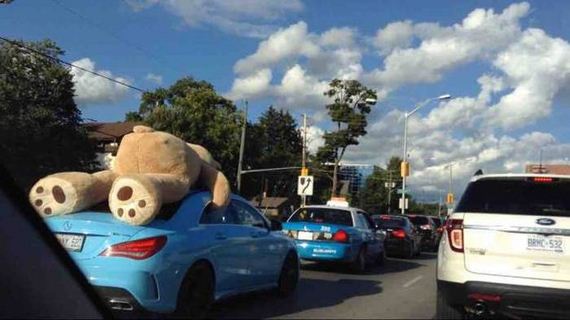 funny-pictures-1042