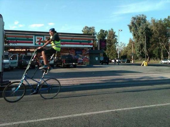 funny-pictures-1042