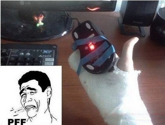 funny-pictures-1042