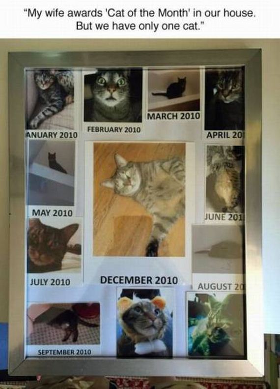 funny-pictures-1042