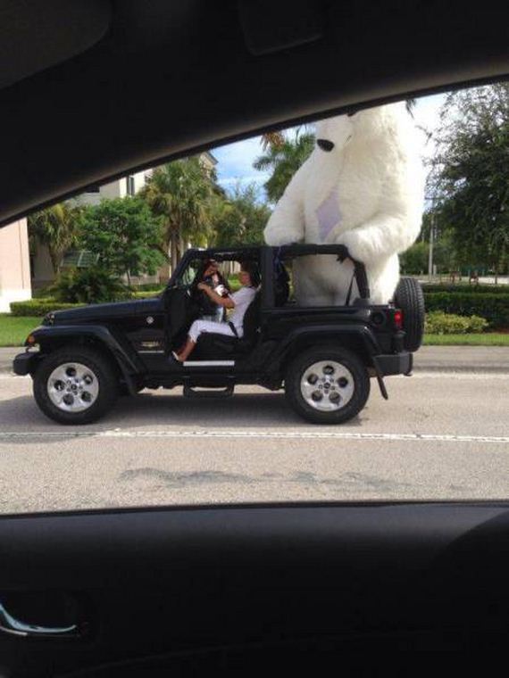 funny-pictures-1042