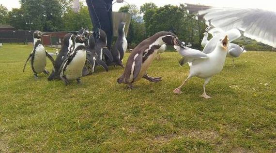 funny-pictures-1043