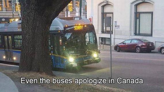 funny-pictures-1043