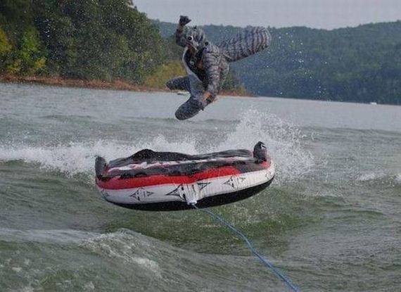 funny-pictures-1043