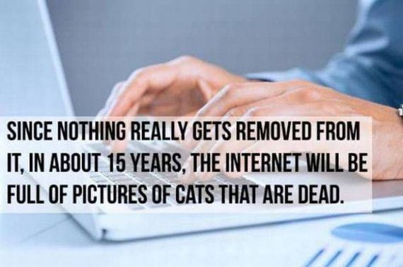 funny-pictures-1043