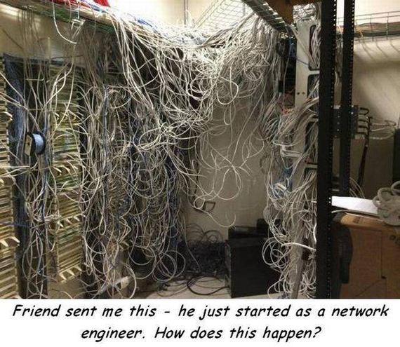 funny-pictures-1043
