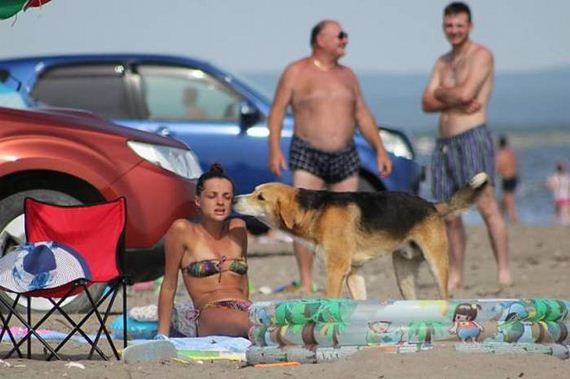 funny-pictures-1043