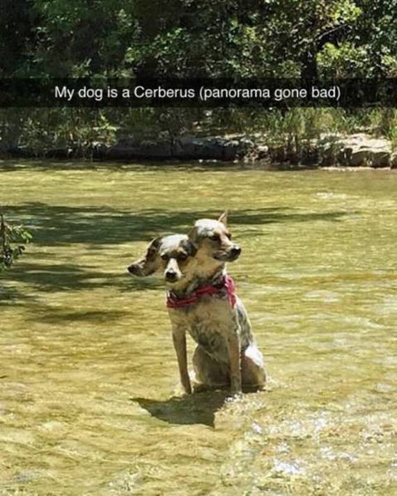 funny-pictures-1043