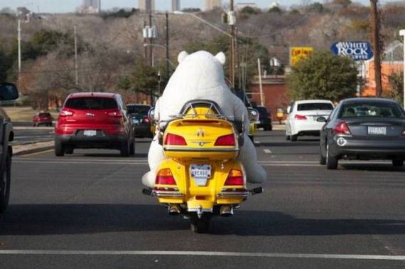 funny-pictures-1044