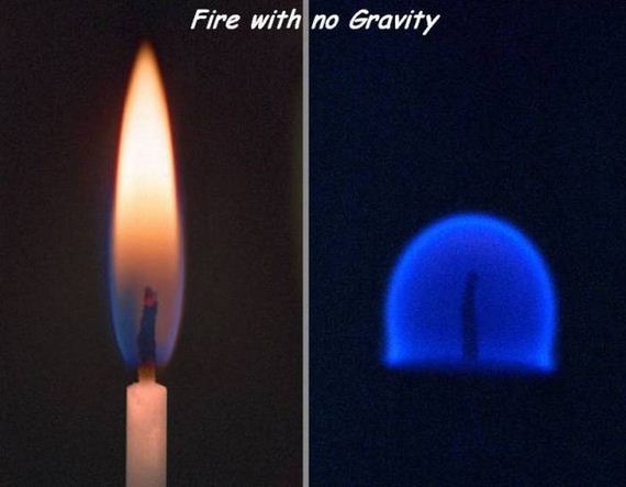 funny-pictures-1044