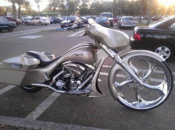 funny-pictures-1044