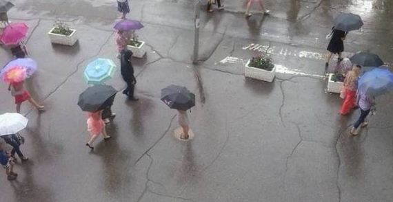 funny-pictures-1044