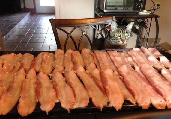 funny-pictures-1044