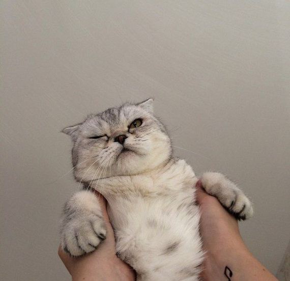 funny-pictures-1044