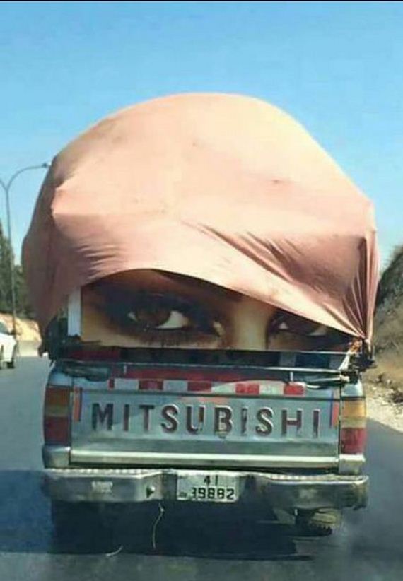 funny-pictures-1044