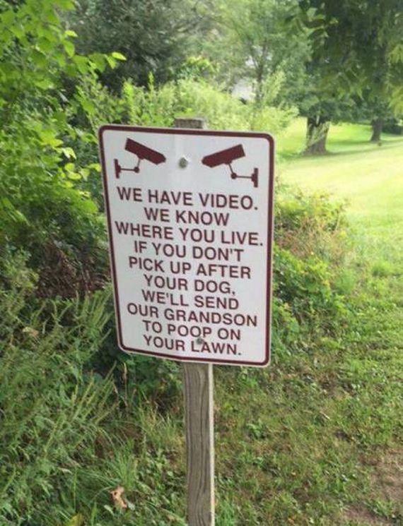 funny-pictures-1044