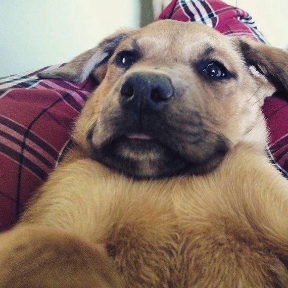 funny-pictures-1044