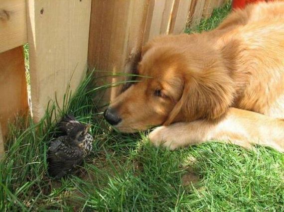 funny-pictures-1045