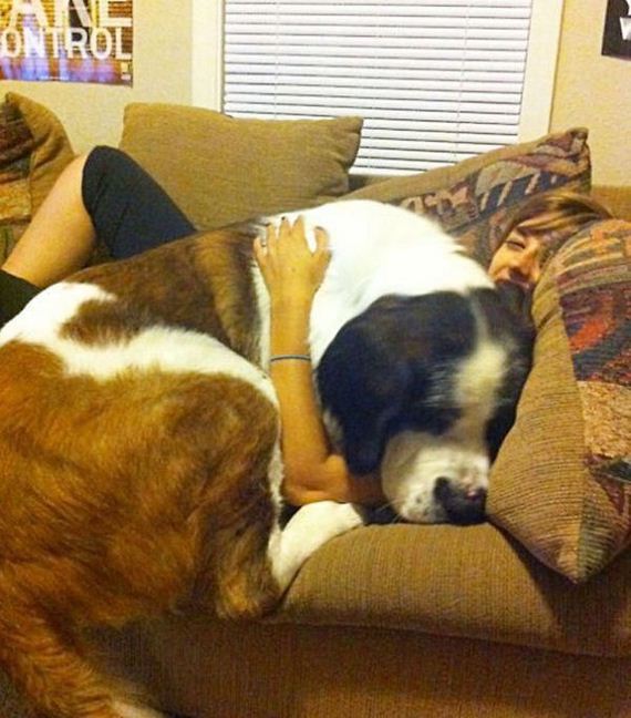 funny-pictures-1045